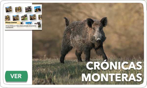 Modulo Portada 2021 Reservas