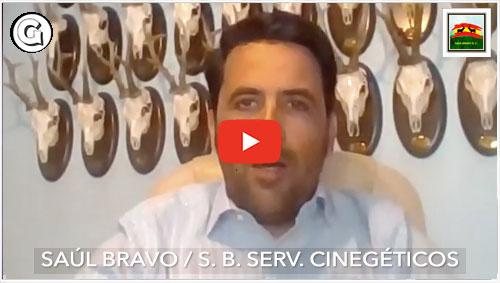 Entrevistas Saul Bravo