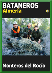 MonteriasCandidatasJBABataneros