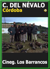 MonteriasCandidatasJBANevalo