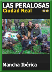 MonteriasCandidatasJBAPeralosas