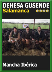 MonteriasCandidatasJBCMoscora