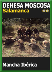 MonteriasCandidatasJBCMoscosa