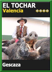 MonteriasCandidatasJBClElTocharGescaza