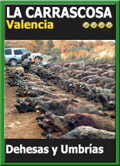 MonteriasCandidatasJBClLaCarrascosa