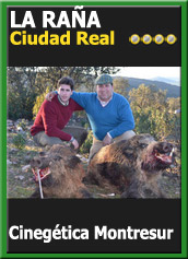 MonteriasCandidatasJBClLaRana