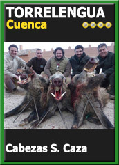 MonteriasCandidatasJBClTorrelengua