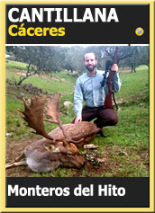 MonteriasCandidatasOroCantillana