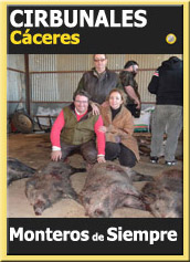 MonteriasCandidatasOroCirbunales