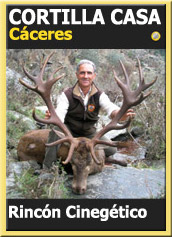 MonteriasCandidatasOroCortillalasCasas