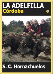 MonteriasCandidatasOroLaAdelfilla