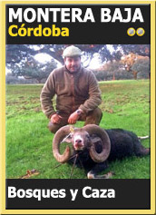 MonteriasCandidatasOroMonteraBaja