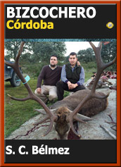 MonteriasCandidatasSocBizc