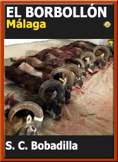 MonteriasCandidatasSocBorb