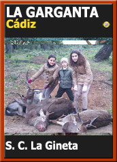 MonteriasCandidatasSocGarg