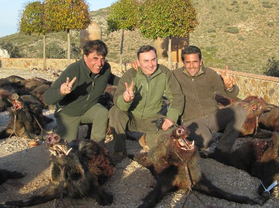 molinos anonimo 12