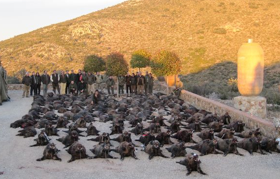 molinos plantel