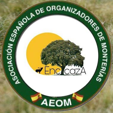 LogoEncicaza