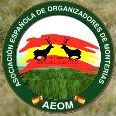 LogoSaulBravo