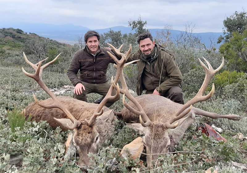 Resultado Montería Quintos de Mora 2020 Hunters Hispania
