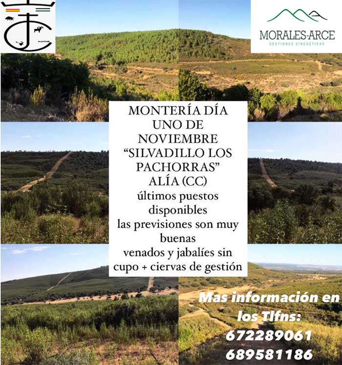 Silvadillo. Información Montería