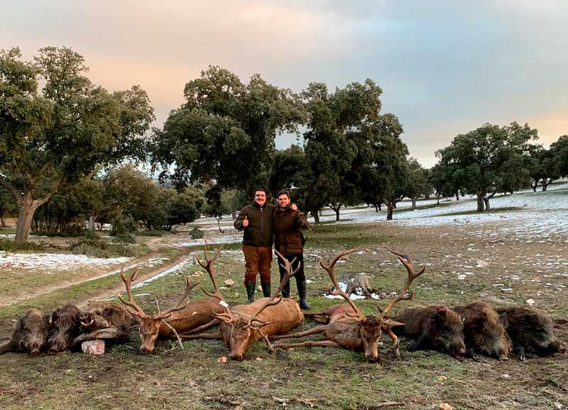 Resultado Montería El Torreón 2021 Iberian Hunting