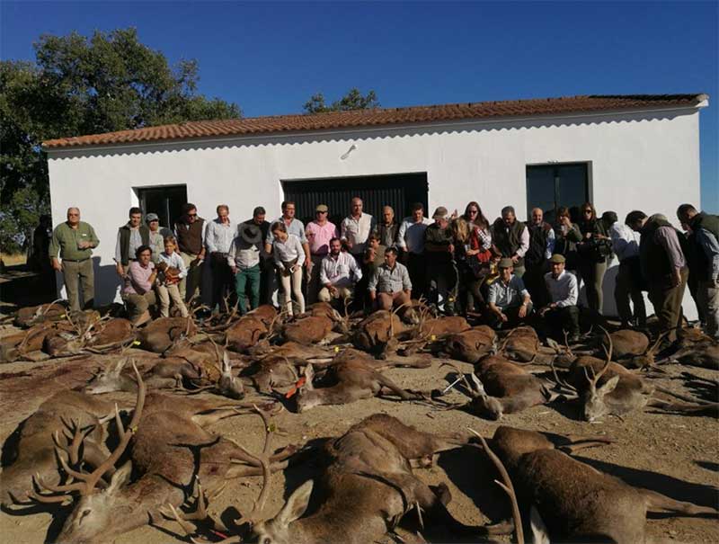 Montería genérica Amigos de la Sierra