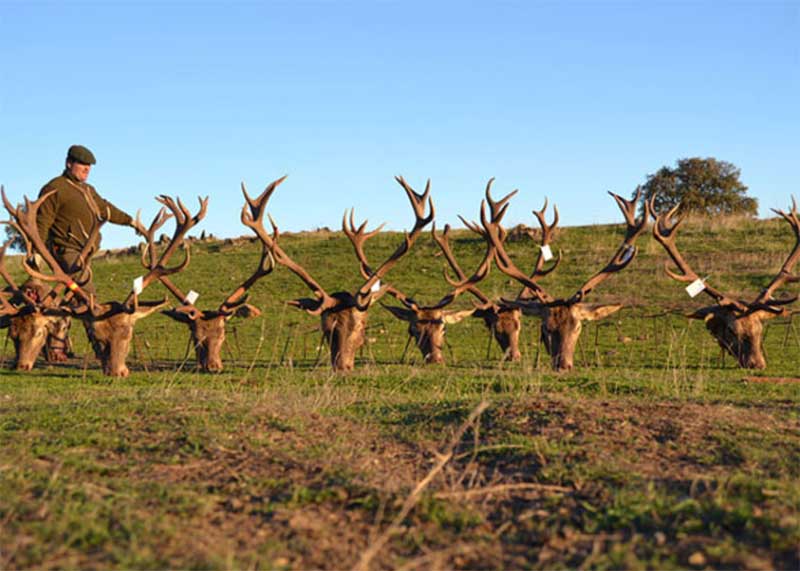 El Rosalejo Sierracaza