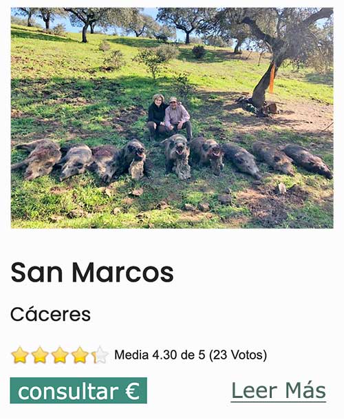 San Marcos (CC) | 25 nov