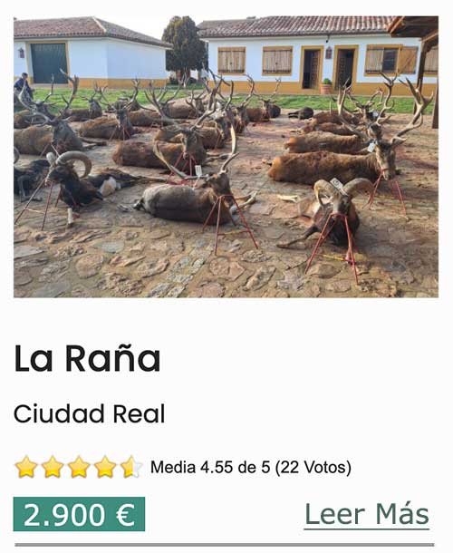 Chaqueta Caza Blaser