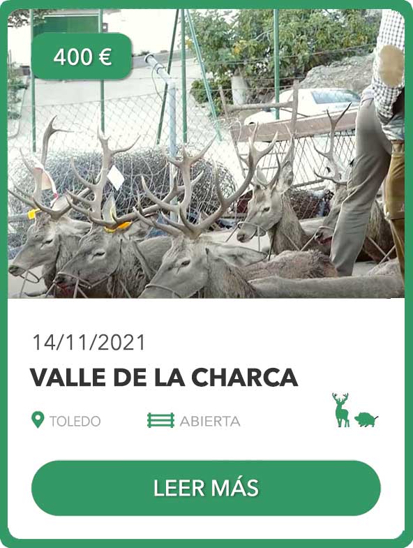 Valle la Charca (TO) | 14 nov | 400€