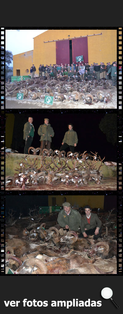 MonteriasCinegeticaBarrancosNavalentisco201600