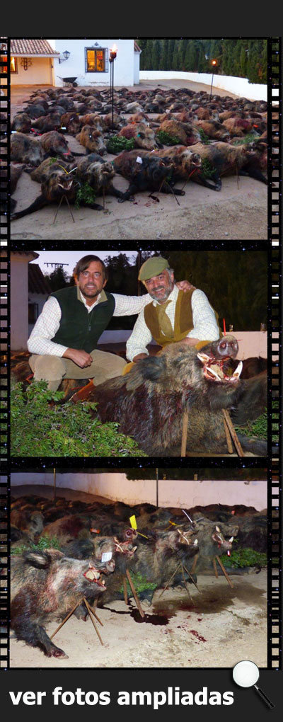 MonteriasIbercazaElHoyo2150000