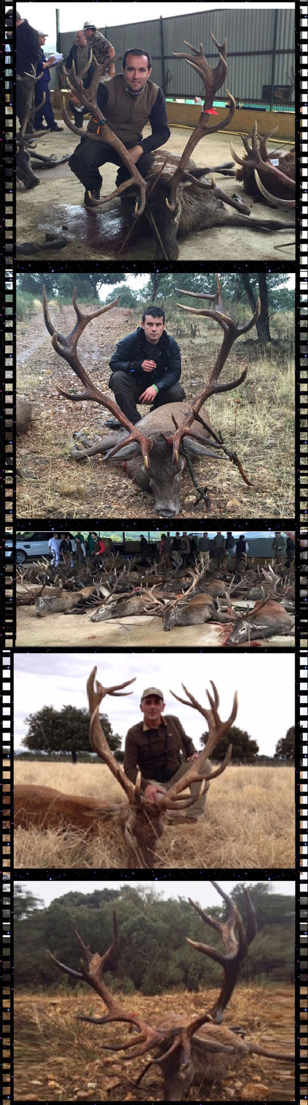 MonteriasManchaIbericaLaZarzuela21500