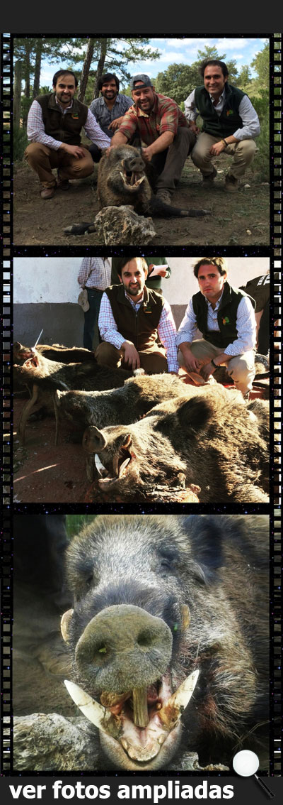 MonteriasManchaIbericadehesaDonLuis150000