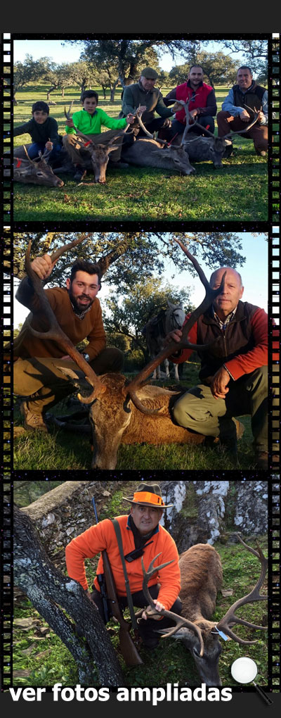 MonteriasMonterosdelHitoCantillana2150000