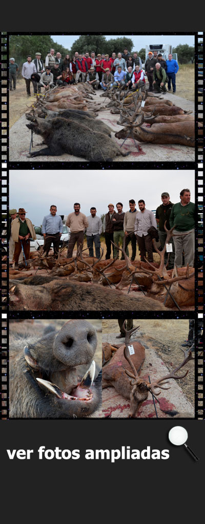 MonteriasMonterosdelHitoCarquesa150000