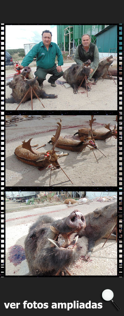 MonteriasRinconCinegeticoJarallana150000