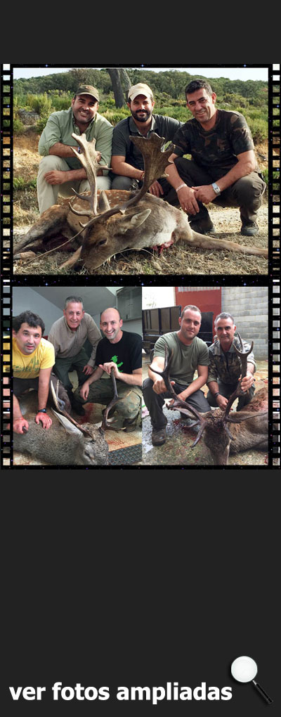 MonteriasSCGinetaAlqueria150000