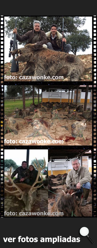 MonteriasSierraEspanaRiberaAlta201500