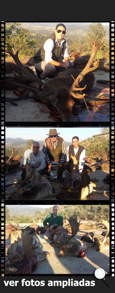 MonteriasSierraIbericaSilvadillo201500