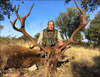BosquesyCaza2016SotoSalcedas10PQQ