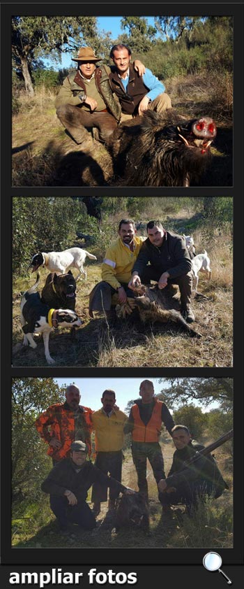 MonterosEncinasola2017MengachasPQ