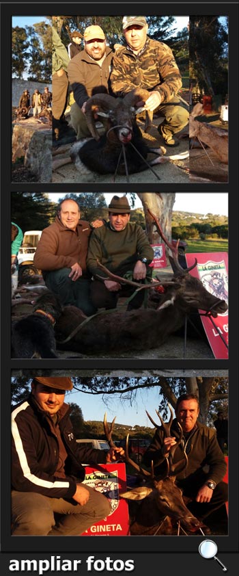 SCGineta2017CochesPQ