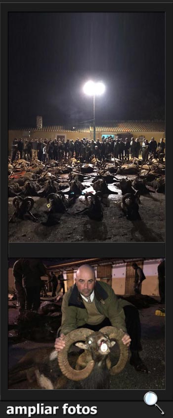 SierraEspama2016EncinarSanMartinPQ