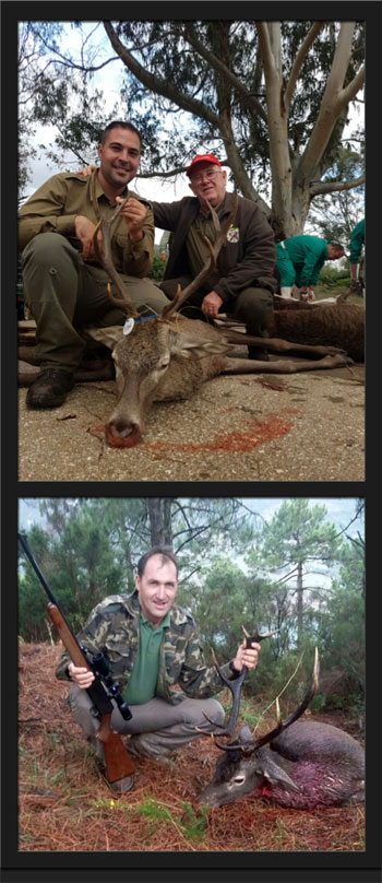 SocGineta2016PalancarPQ