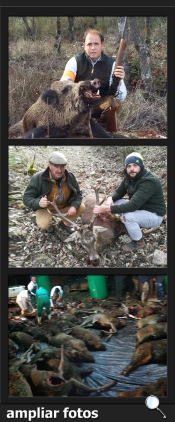 Arreendatarios2018LasTajadasPQ