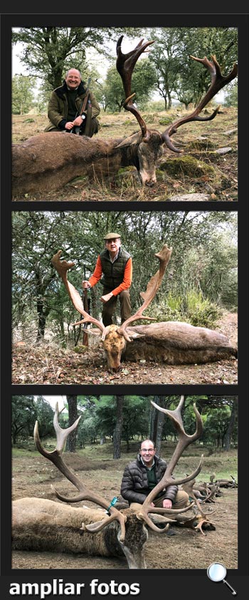 BosquesyCaza2017LaDehesaPQ