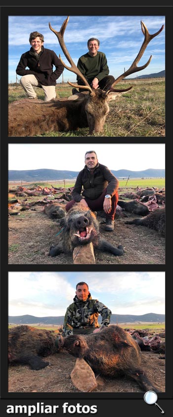 BosquesyCaza2018ArdalesPQ