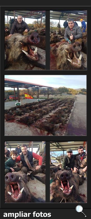 CabezasServiciosDeCaza2017RiberaPQ